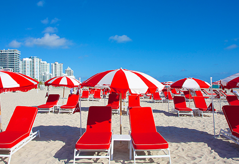 Swaying palms and turquoise sea